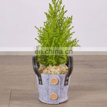 Home Decoration Felt Flower Pot for Living Room photo-5