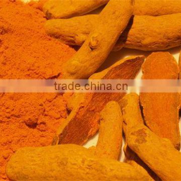 Fine Quality Cucurma aromatica Powder For OEM