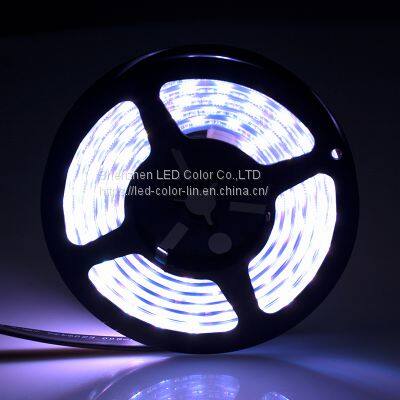 customized color waterproof 5050 christmas light RGBWW led strip light