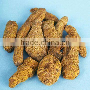 notopterygium oil/notopterygium root oil for the material of cold fever medicine and pain killer in China