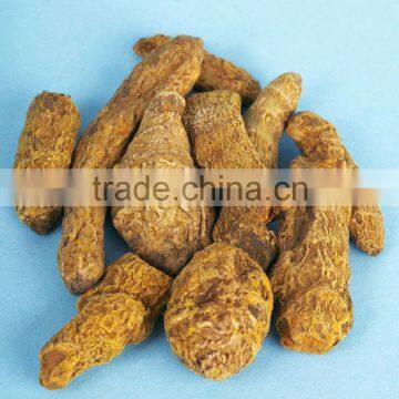 100% Natural Notopterygium Root Essential Oil With High Quality Hot Sale Low Price photo-5