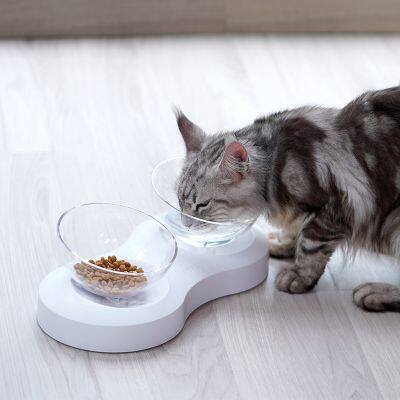 Shallow Cat Bowl? Slow Feeder With Two Bowls