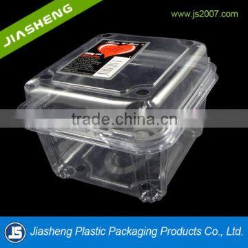 Dongguan PET Clear plastic clamshell food containers/fruit container