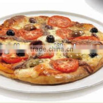 Eco-green 100% Biodegradable 10'' Pizza Plate