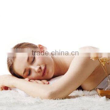 Monalisa Sauna Heater Cheap Saunas photo-4
