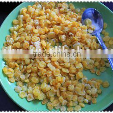 Extruder Food Machine for Corn Flakes Production Process photo-3