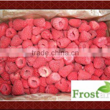 IQF frozen raspberry