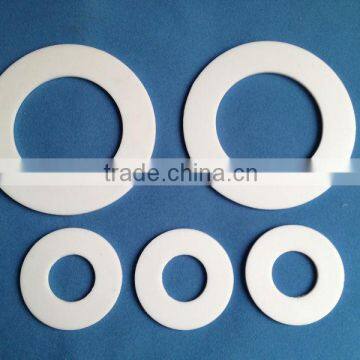 Expanded Flat PTFE Gasket