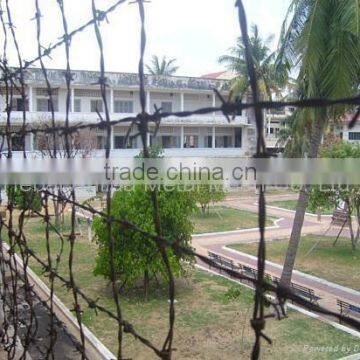 Hot Dipped Galvanized and Powder Coating Barbed Wire Hot Sale photo-5