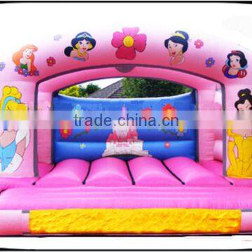 lovely inflatable bouncer /inflatale jumping castle