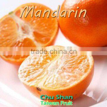 2016 Taiwan Fresh Sweet Mandarin Orange Citrus Fruit photo-4