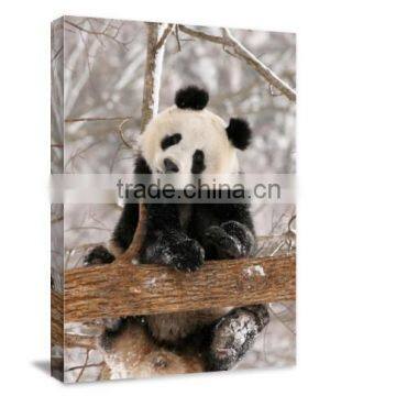 Cute Panda Animal Decor Printed Canvas Painting Art For Livingroom DWYS76