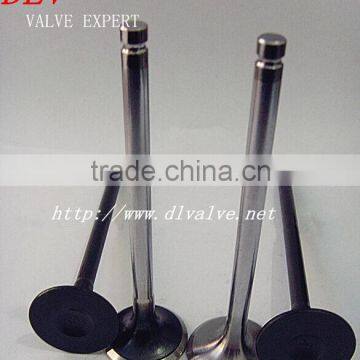 intake and exhaust valve for Fiat JAGUAR