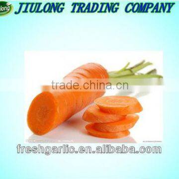 Chinese Fresh carrot hot sale