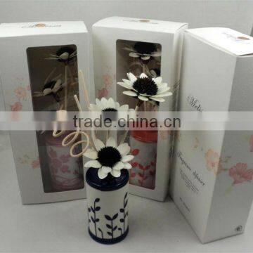 Fragrance Diffuser in colorful bottle