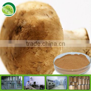 GMP Polysaccharides/agaricus blazei mushroom powder