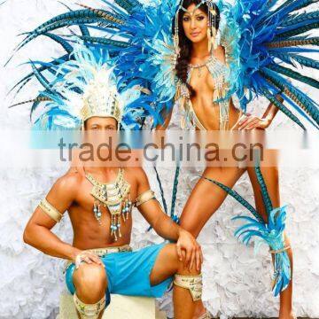 CHINAZP Exporting Wholesale Top Quality Large Natural Beautiful Lady Amherst Pheasant Tail Feathers for DIY photo-6