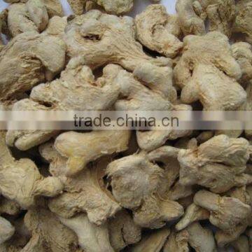 ORGANIC FRESH GINGER CALL ME: 0084 977132019 photo-4