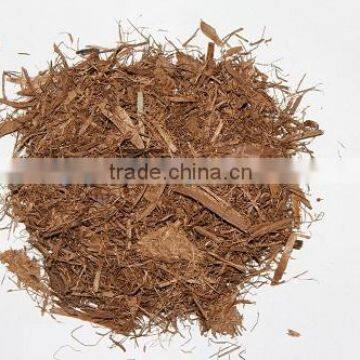 SUGAR CANE BAGASSE FROM VIETNAM