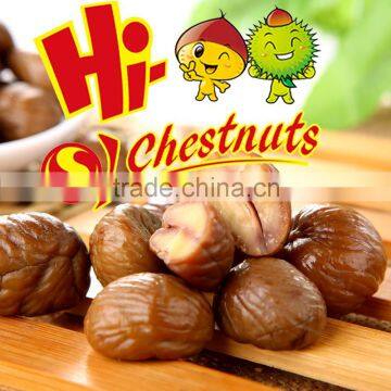 Ready to Eat Food Packaging Vacuum Food---Halal and Kosher Chestnuts Snacks photo-5