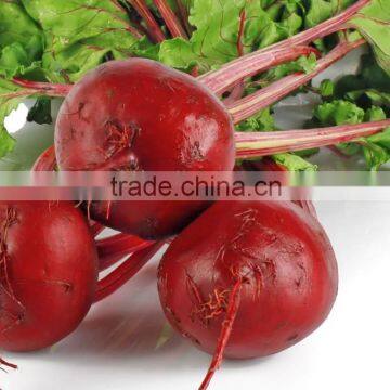 Beet Root Seeds