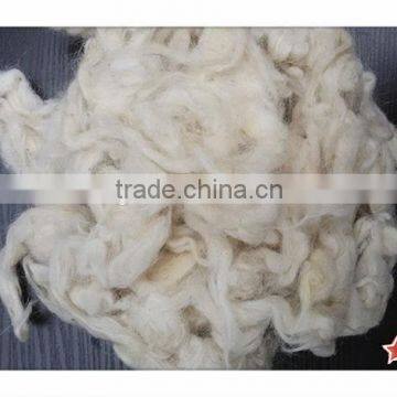 Chinese New best quality carpet grade washed sheep wool with Permethrine free no tar no paint and no PP