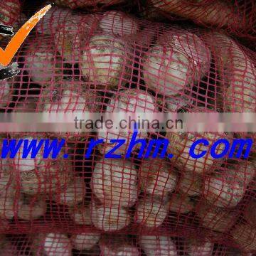 New Crop High Quality Fresh Garlic Directly Supply photo-4