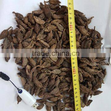 Vietnam Black Cardamom