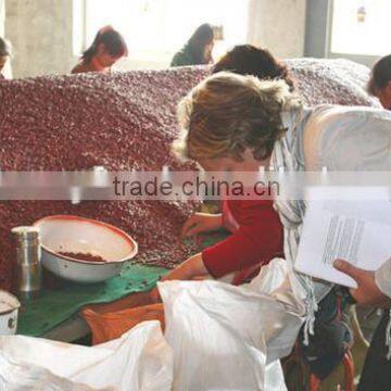 Red Kidney Beans for Hot Sale and With Free Sample for Sale photo-4