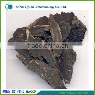 Supply high quality bulk scrophulariae (Xuan shen)