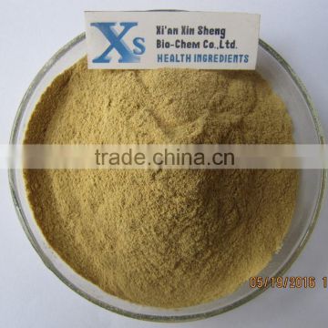 GMP Natural High Quality Durian Extract Powder/Durian Powder