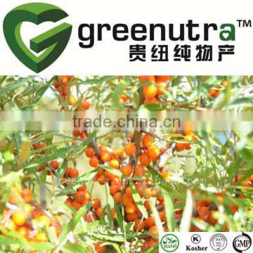 Seabuckthorn Juice Powder