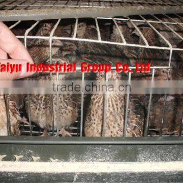 Taiyu brand cages of quails