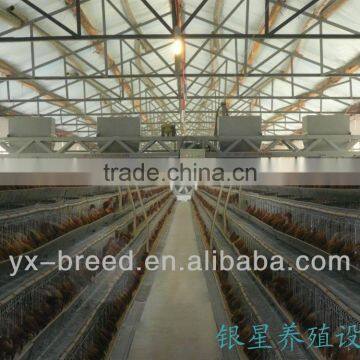 hot galvanized automatic chicken feeder with best price