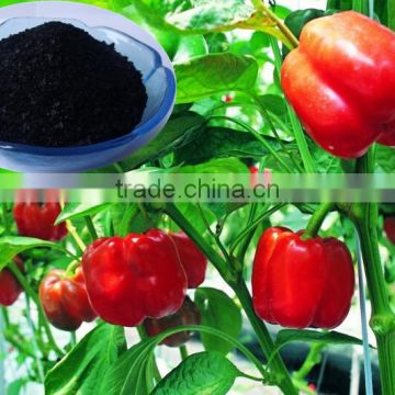 marine natural Organic Seaweed Extracts in plant health fertilizer