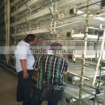 H Type layer cage system with automatic feeding line