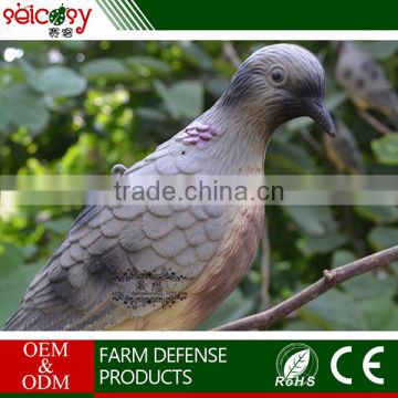 Eco-friendly graceful shape easy to take pigeon bird for decoration