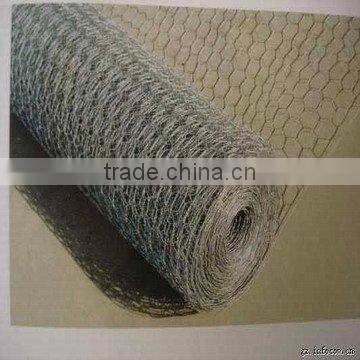 PE Hexagonal Wire Mesh