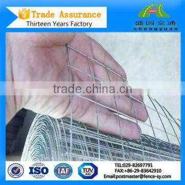 Chicken galvanized mini welded wire mesh roll