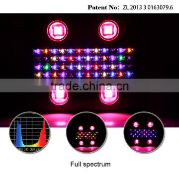 China Noah Patent Product Cob Full Spectrum Led Grow Light for Medical Plants photo-4