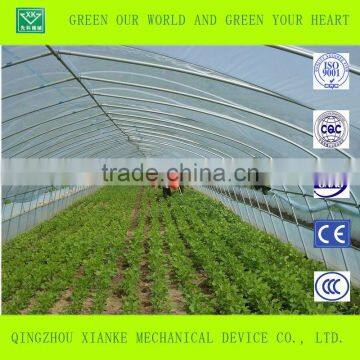 Single-Span Sunlight Seeding Greenhouse in China photo-4