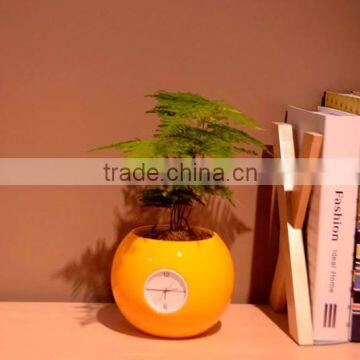 Happygenius Desktop Self-Watering Flower Pot With Clock photo-5