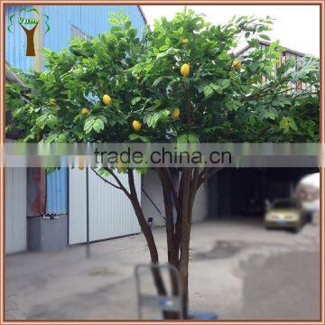 Artificial lemon tree for weddings