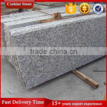 Polished Bianco Sardo G439 Big Flower White Granite photo-2