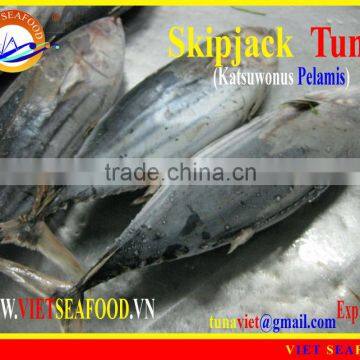 FROZEN SKIPJACK TUNA WHOLE ROUND