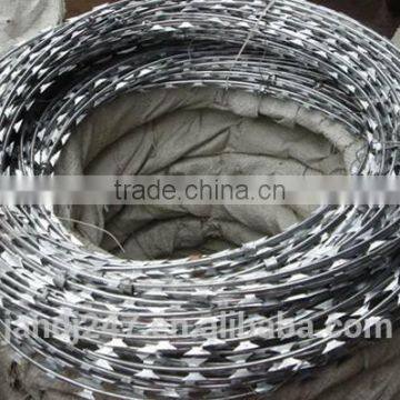 2017 Hot Sale Galvanized Razor Wire With Factory Price photo-2