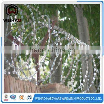 Moderate Price Razor Barbed Wire Used in Prison photo-4