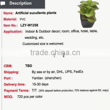 Customized Design Sweet Desert Rose for Table Decoration photo-2