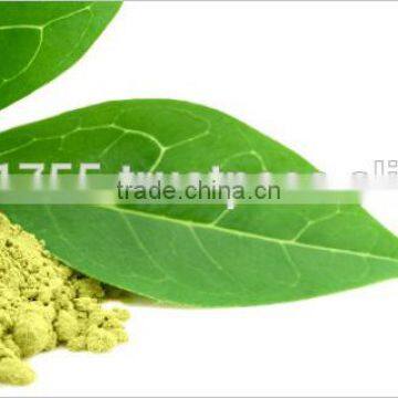 Coleus Forskohlii Extract photo-3