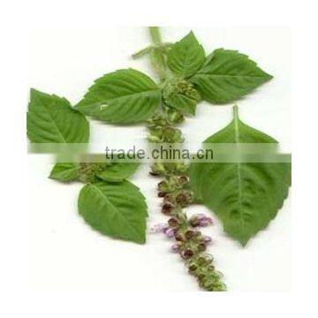 TULSI POWDER EXTRACT photo-4